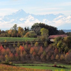 LANDSCAPE - 1 di 44 (15).jpg