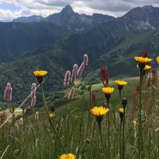 LANDSCAPE - 1 di 44 (11).jpg