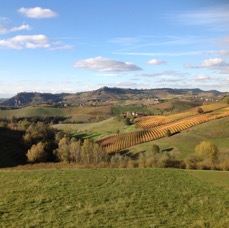 LANDSCAPE - 1 di 44 (2).jpg