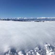 LANDSCAPE - 1 di 44 (8).jpg