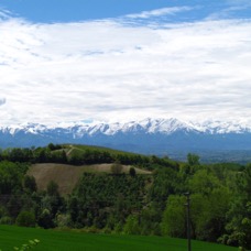 LANDSCAPE - 1 di 44 (14).jpg