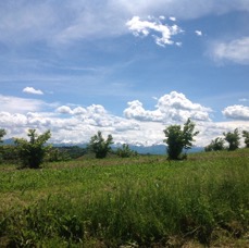 LANDSCAPE - 1 di 44 (16).jpg