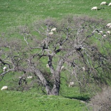 LANDSCAPE - 1 di 44 (17).jpg