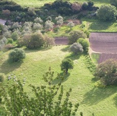 LANDSCAPE - 1 di 44 (18).jpg