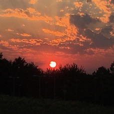 LANDSCAPE - 1 di 44 (20).jpg
