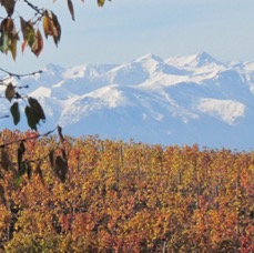 LANDSCAPE - 1 di 44 (22).jpg
