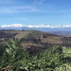 LANDSCAPE - 1 di 44 (30).jpg