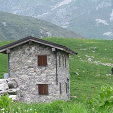 LANDSCAPE - 1 di 44 (32).jpg