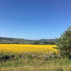 LANDSCAPE - 1 di 44 (33).jpg