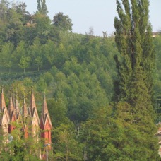 LANDSCAPE - 1 di 44 (36).jpg