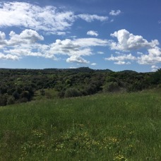 LANDSCAPE - 1 di 44 (37).jpg