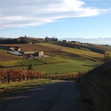 LANDSCAPE - 1 di 44 (40).jpg
