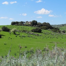 LANDSCAPE - 1 di 44 (41).jpg