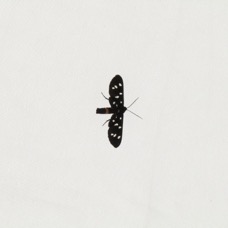NATURE - 1 di 73 (2).jpg