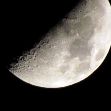 NATURE - 1 di 73 (10).jpg
