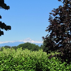 NATURE - 1 di 73 (13).jpg