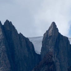 NATURE - 1 di 73 (26).jpg