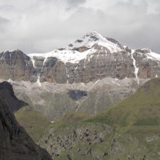 NATURE - 1 di 73 (39).jpg