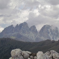 NATURE - 1 di 73.jpg