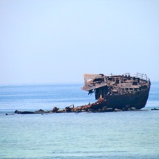 PLACES - 1 di 49 (32).jpg