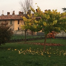 PLACES - 1 di 49 (33).jpg