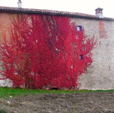 PLACES - 1 di 49 (36).jpg