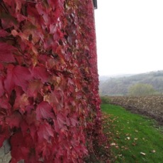 PLACES - 1 di 49 (42).jpg